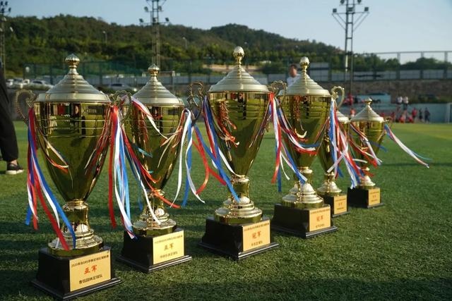 香港公开赛第5日国羽5战全胜 提前包揽混双冠亚军